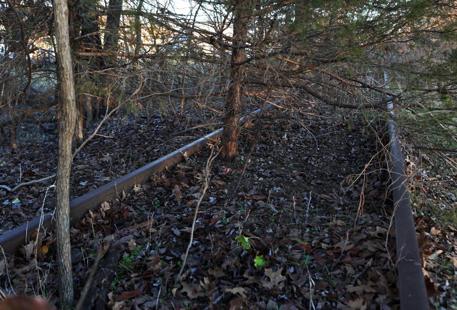 New Rails to Trails project underway in Missouri - Argyle